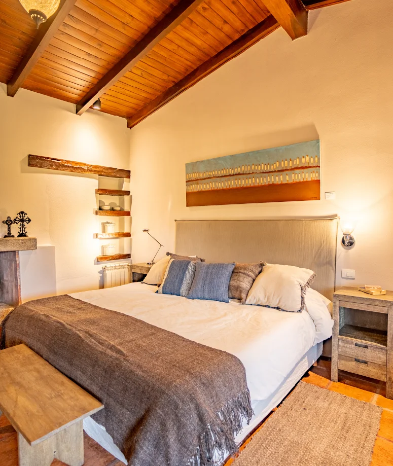 Cushion - Palo Azul - Image 4