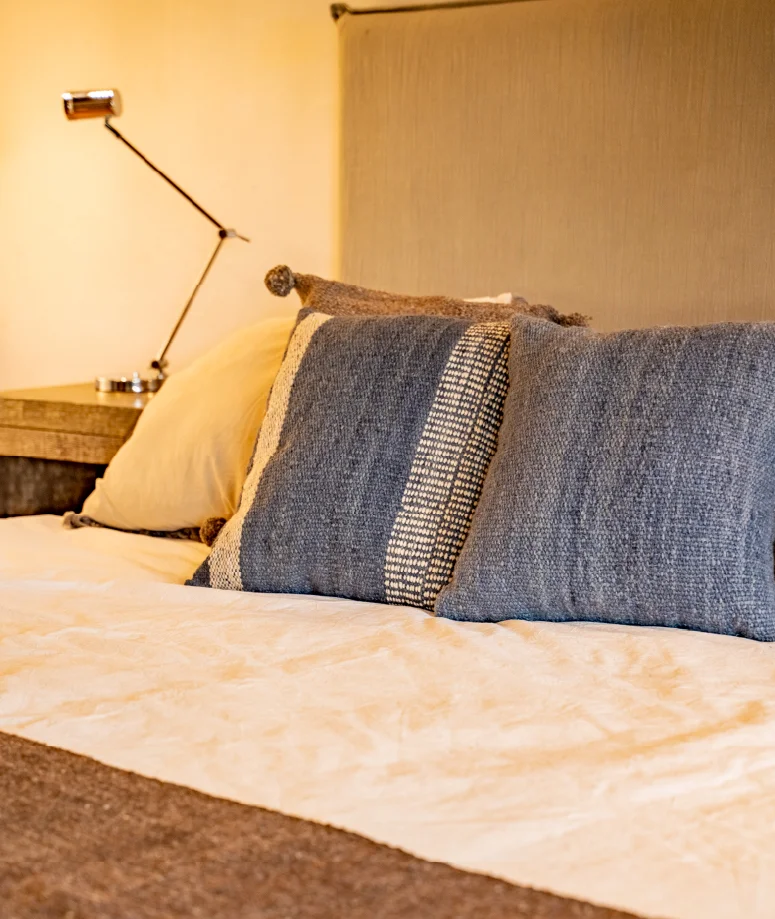 Cushion - Palo Azul - Image 2